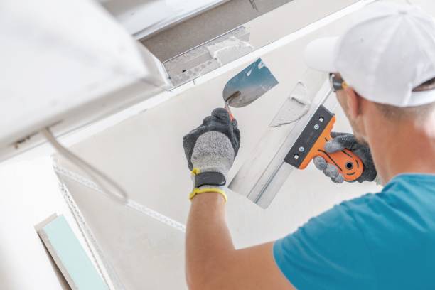 Best Drywall Patching  in USA